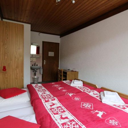 Hotel Des Portes Du Soleil ル・クロセッツ エクステリア 写真