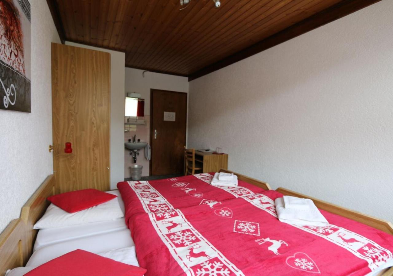 Hotel Des Portes Du Soleil ル・クロセッツ エクステリア 写真